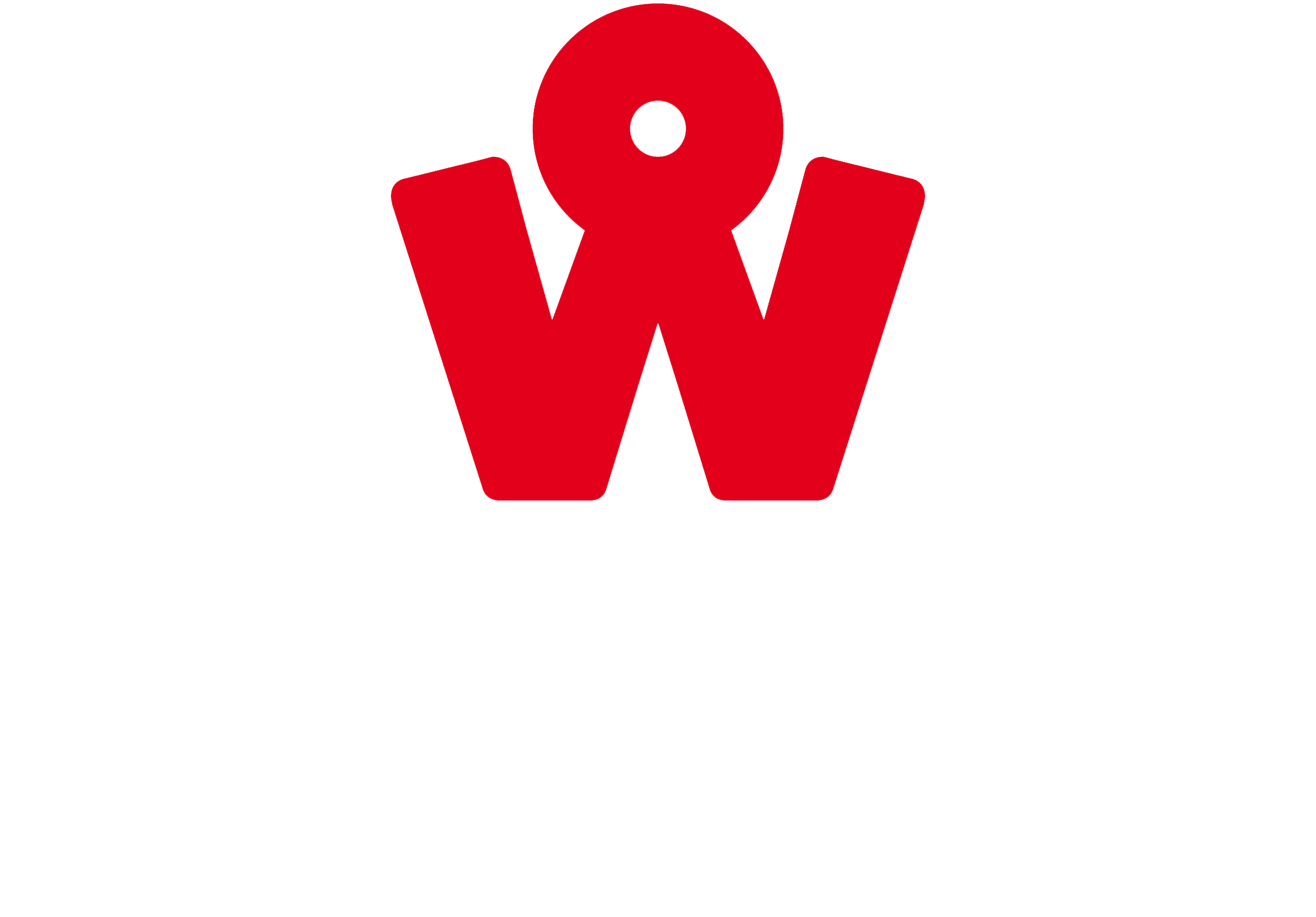 Wegman B.V.