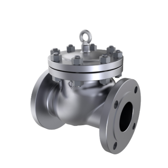 Check Valves
